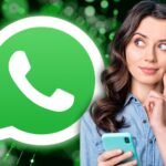 whatsapp benutzernamen funktion